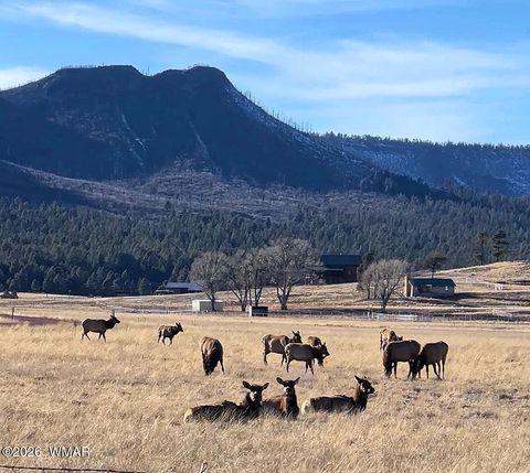 Tiny photo for 3 County Road N2261, Alpine, AZ 85920 (MLS # 259597)