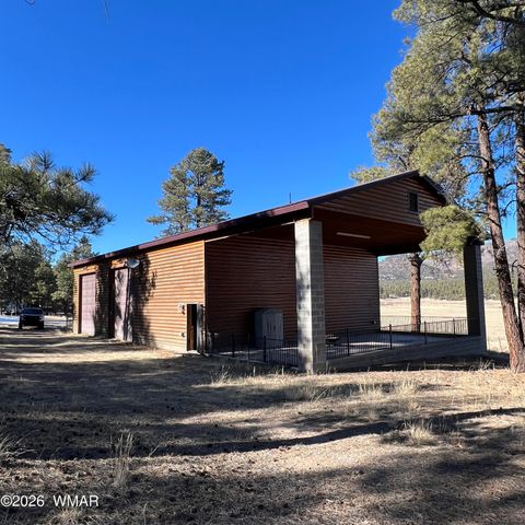 Tiny photo for 3 County Road N2261, Alpine, AZ 85920 (MLS # 259597)