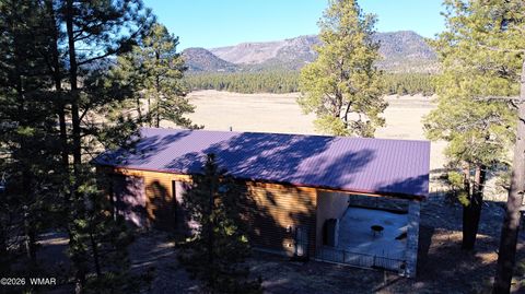 Tiny photo for 3 County Road N2261, Alpine, AZ 85920 (MLS # 259597)