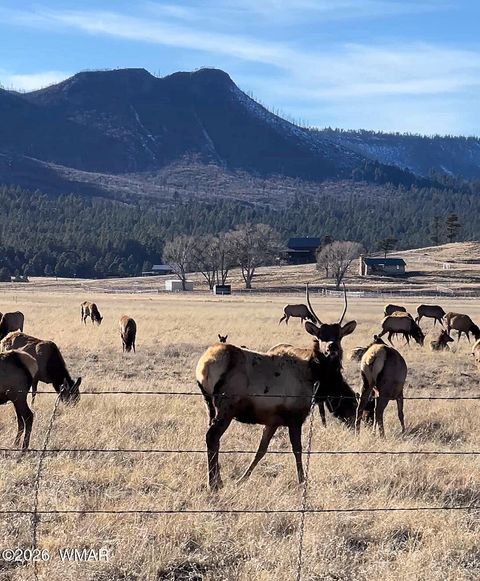 Tiny photo for 3 County Road N2261, Alpine, AZ 85920 (MLS # 259597)