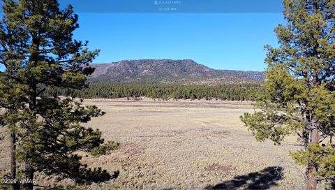 Tiny photo for 3 County Road N2261, Alpine, AZ 85920 (MLS # 259597)