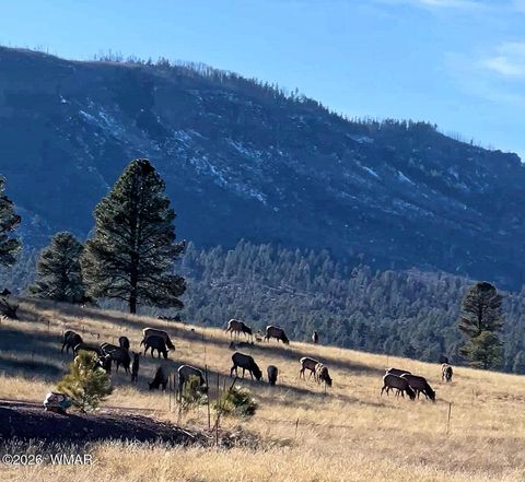 Tiny photo for 3 County Road N2261, Alpine, AZ 85920 (MLS # 259597)