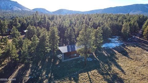 Tiny photo for 3 County Road N2261, Alpine, AZ 85920 (MLS # 259597)