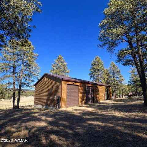 Tiny photo for 3 County Road N2261, Alpine, AZ 85920 (MLS # 259597)