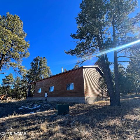 Tiny photo for 3 County Road N2261, Alpine, AZ 85920 (MLS # 259597)