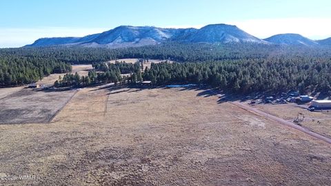 Tiny photo for 3 County Road N2261, Alpine, AZ 85920 (MLS # 259597)