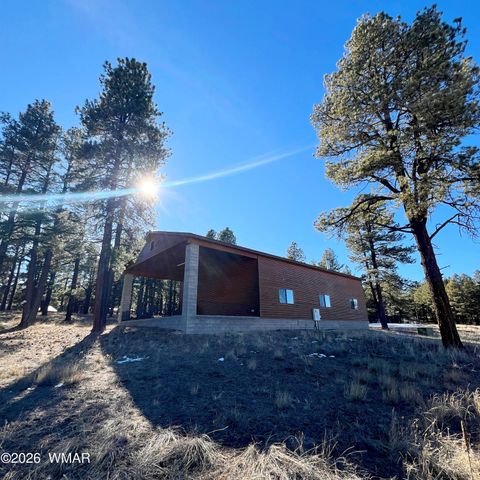Tiny photo for 3 County Road N2261, Alpine, AZ 85920 (MLS # 259597)