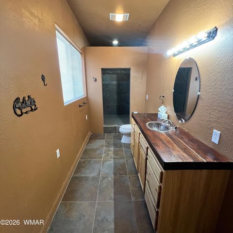 Tiny photo for 3 County Road N2261, Alpine, AZ 85920 (MLS # 259597)