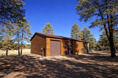 Tiny photo for 3 County Road N2261, Alpine, AZ 85920 (MLS # 259597)