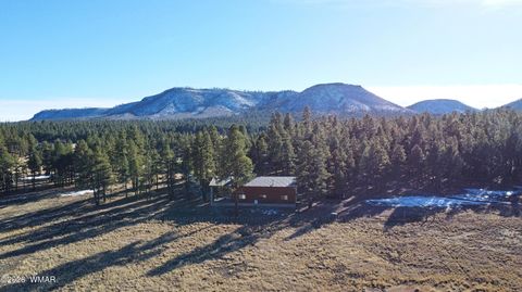 Tiny photo for 3 County Road N2261, Alpine, AZ 85920 (MLS # 259597)