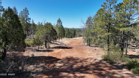 Tiny photo for 152 The Rim, Lakeside, AZ 85929 (MLS # 240671)