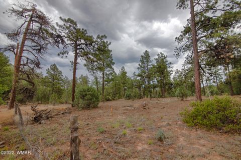 Tiny photo for 152 The Rim, Lakeside, AZ 85929 (MLS # 240671)