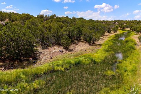 Photo of 8604 Fox Circle, Show Low, AZ 85901 (MLS # 257428)