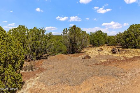 Tiny photo for 8604 Fox Circle, Show Low, AZ 85901 (MLS # 257428)