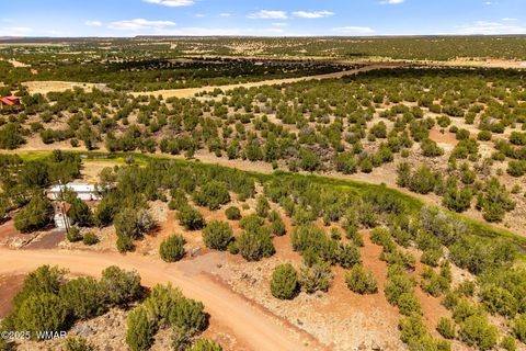 Tiny photo for 8604 Fox Circle, Show Low, AZ 85901 (MLS # 257428)
