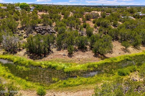 Tiny photo for 8604 Fox Circle, Show Low, AZ 85901 (MLS # 257428)