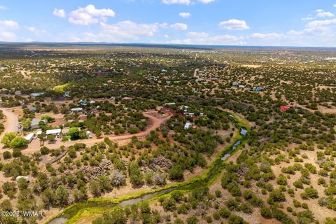 Tiny photo for 8604 Fox Circle, Show Low, AZ 85901 (MLS # 257428)