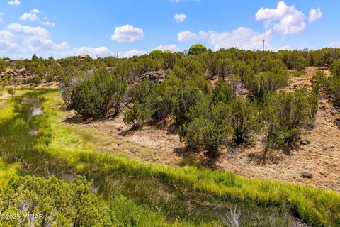 Tiny photo for 8604 Fox Circle, Show Low, AZ 85901 (MLS # 257428)