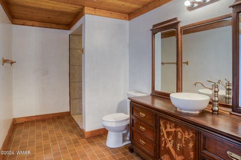 Tiny photo for 1647 Becker Lane, Springerville, AZ 85938 (MLS # 253902)