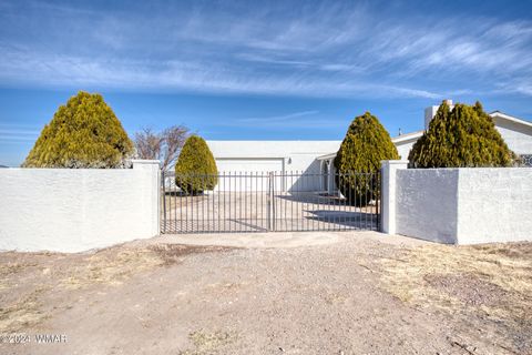 Tiny photo for 1647 Becker Lane, Springerville, AZ 85938 (MLS # 253902)