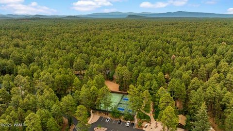 Tiny photo for 2086 Brown Bear Loop, Pinetop, AZ 85935 (MLS # 261780)