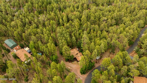 Tiny photo for 2086 Brown Bear Loop, Pinetop, AZ 85935 (MLS # 261780)