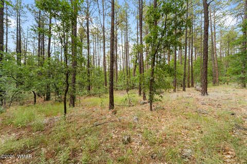 Tiny photo for 2086 Brown Bear Loop, Pinetop, AZ 85935 (MLS # 261780)