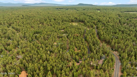 Tiny photo for 2086 Brown Bear Loop, Pinetop, AZ 85935 (MLS # 261780)