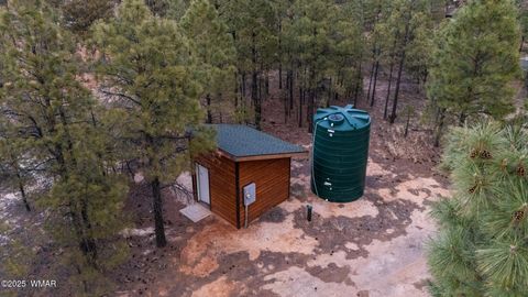 Tiny photo for 2702 Majestic Elk Road, Overgaard, AZ 85933 (MLS # 255385)