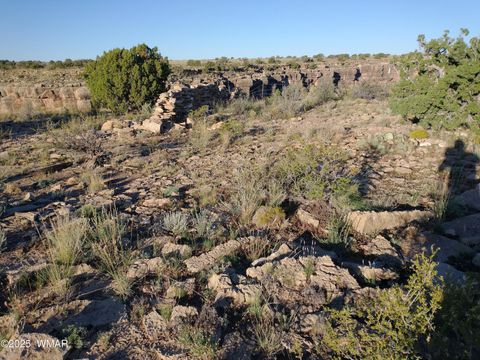 Tiny photo for Lot 682 Chevelon Canyon Ranch, Heber, AZ 85928 (MLS # 254141)