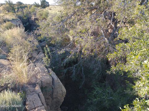 Photo of Lot 682 Chevelon Canyon Ranch, Heber, AZ 85928 (MLS # 254141)