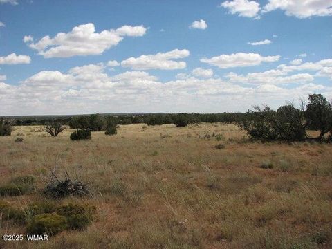 Tiny photo for Lot 682 Chevelon Canyon Ranch, Heber, AZ 85928 (MLS # 254141)