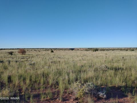 Tiny photo for Lot 682 Chevelon Canyon Ranch, Heber, AZ 85928 (MLS # 254141)