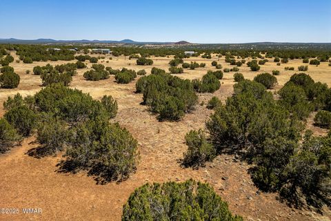 Photo of 8770 Supancheck Road, Show Low, AZ 85901 (MLS # 256245)