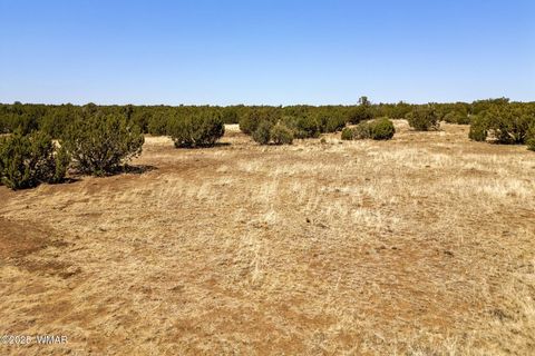 Tiny photo for 8770 Supancheck Road, Show Low, AZ 85901 (MLS # 256245)