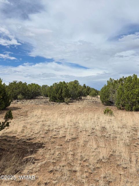 Tiny photo for 8770 Supancheck Road, Show Low, AZ 85901 (MLS # 256245)