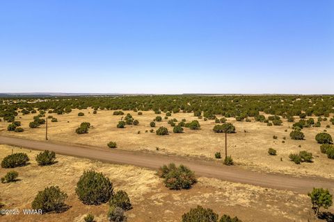 Tiny photo for 8770 Supancheck Road, Show Low, AZ 85901 (MLS # 256245)