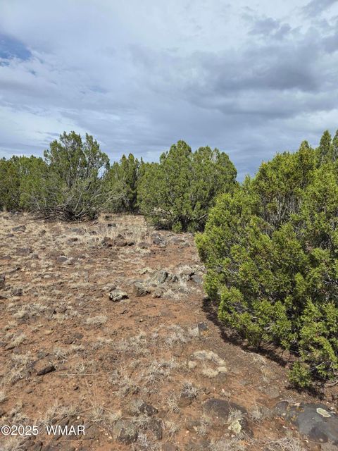 Tiny photo for 8770 Supancheck Road, Show Low, AZ 85901 (MLS # 256245)