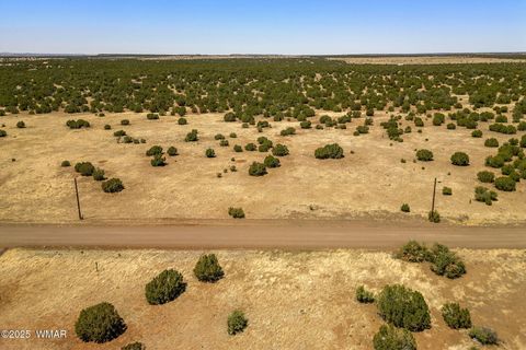 Tiny photo for 8770 Supancheck Road, Show Low, AZ 85901 (MLS # 256245)