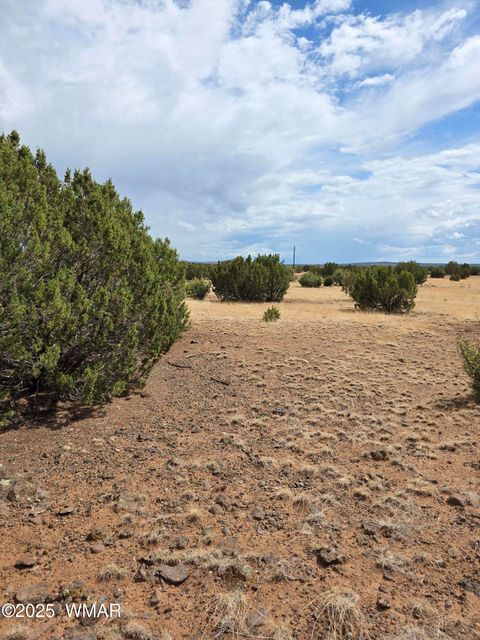 Tiny photo for 8770 Supancheck Road, Show Low, AZ 85901 (MLS # 256245)