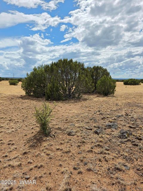 Tiny photo for 8770 Supancheck Road, Show Low, AZ 85901 (MLS # 256245)