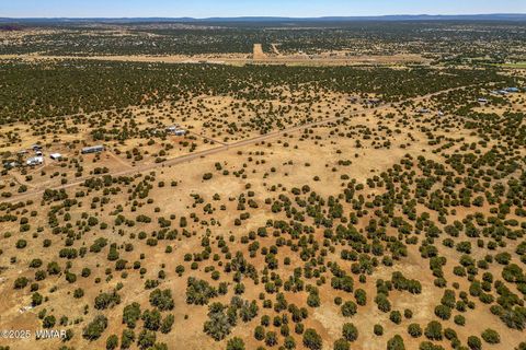 Tiny photo for 8770 Supancheck Road, Show Low, AZ 85901 (MLS # 256245)