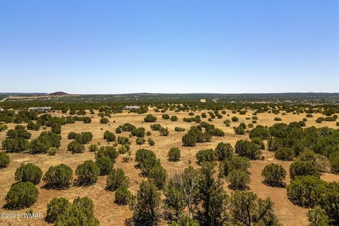 Tiny photo for 8770 Supancheck Road, Show Low, AZ 85901 (MLS # 256245)