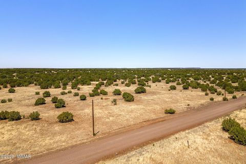Tiny photo for 8770 Supancheck Road, Show Low, AZ 85901 (MLS # 256245)