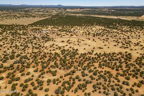 Tiny photo for 8770 Supancheck Road, Show Low, AZ 85901 (MLS # 256245)