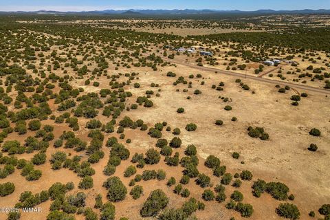 Tiny photo for 8770 Supancheck Road, Show Low, AZ 85901 (MLS # 256245)