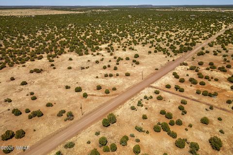 Tiny photo for 8770 Supancheck Road, Show Low, AZ 85901 (MLS # 256245)