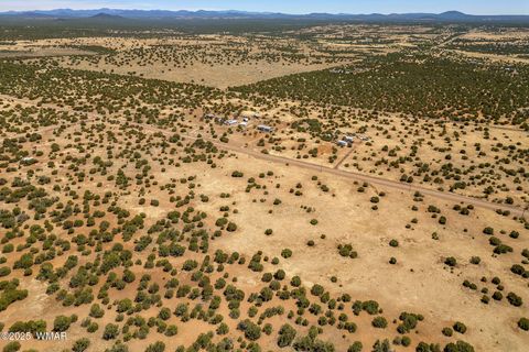 Tiny photo for 8770 Supancheck Road, Show Low, AZ 85901 (MLS # 256245)