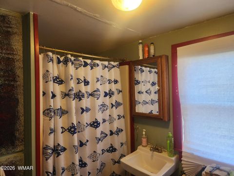 Tiny photo for 54 1st N Street, Alpine, AZ 85920 (MLS # 261677)