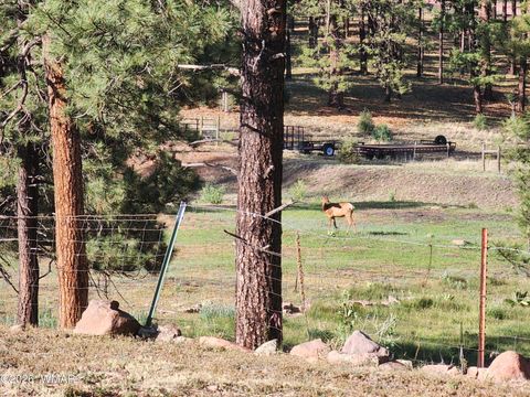 Tiny photo for 54 1st N Street, Alpine, AZ 85920 (MLS # 261677)